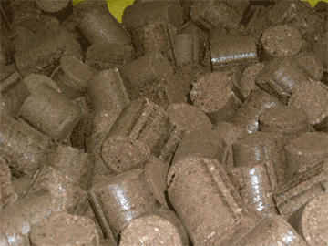 briquettes