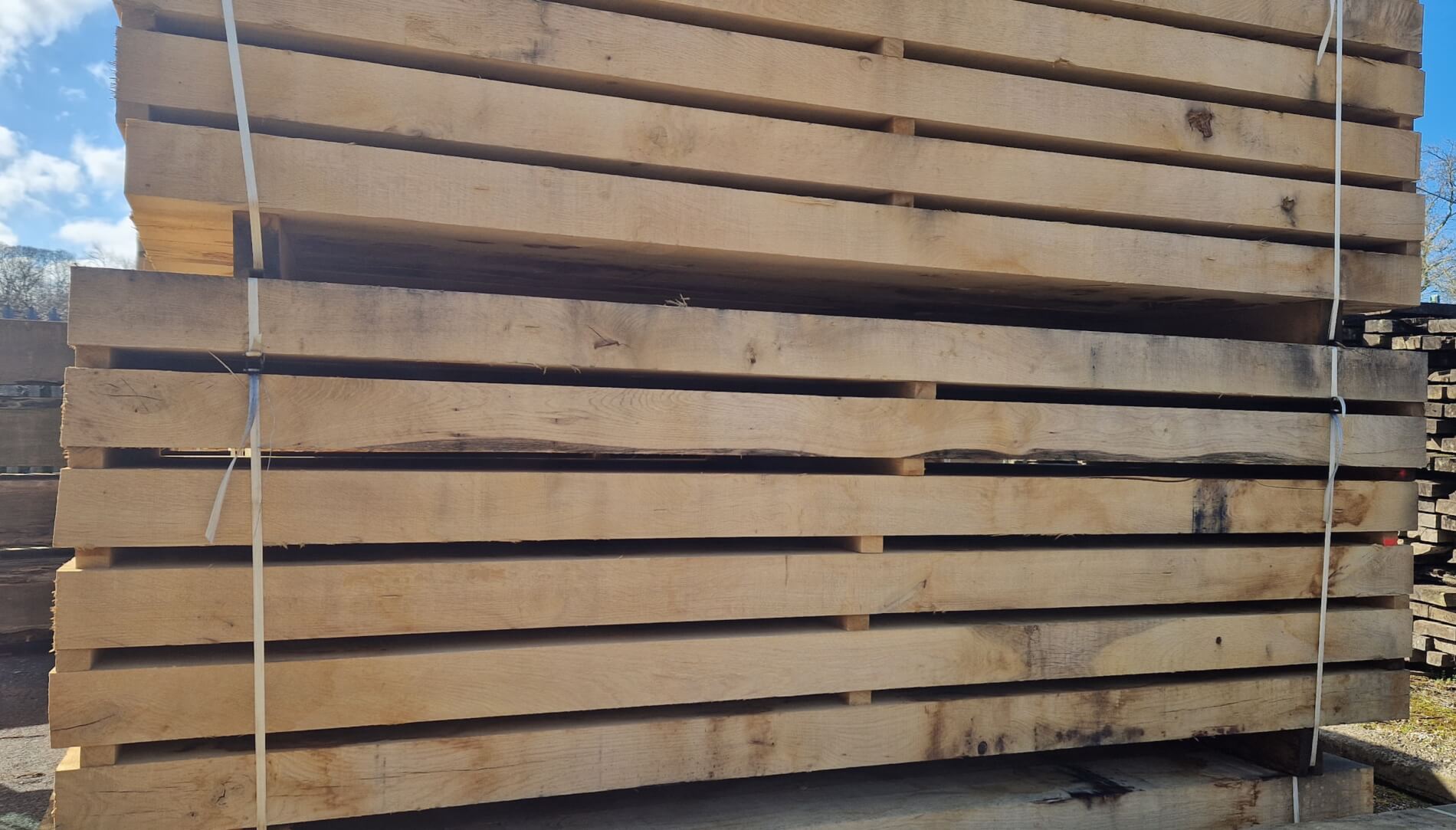 french oak 2.4m